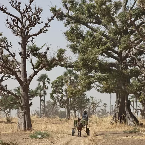 Senegal